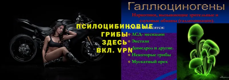 Хочу наркоту Донецк КОКАИН  Галлюциногенные грибы  Кодеин  ГАШИШ  Каннабис  Меф 