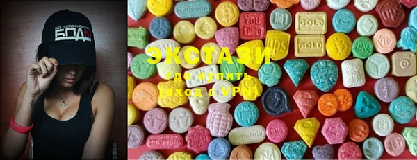 ECSTASY Белокуриха